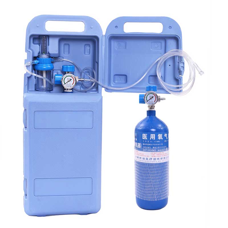 医用便携氧气瓶2/4升家用小型罐制氧救急户外缺氧吸氧高原供氧器